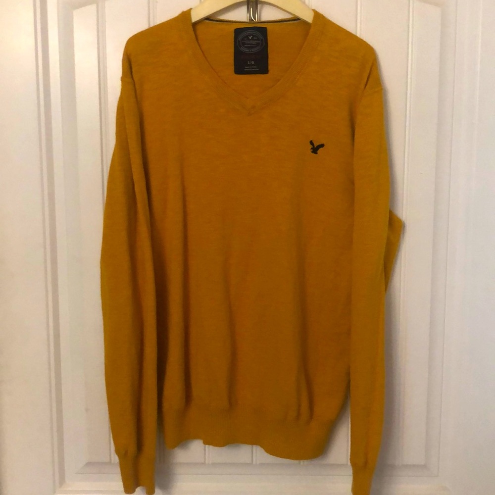 American Eagle Outfitters V-neck Sweater